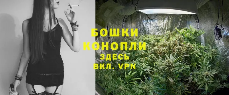 Каннабис White Widow  где можно купить наркотик  Весьегонск 